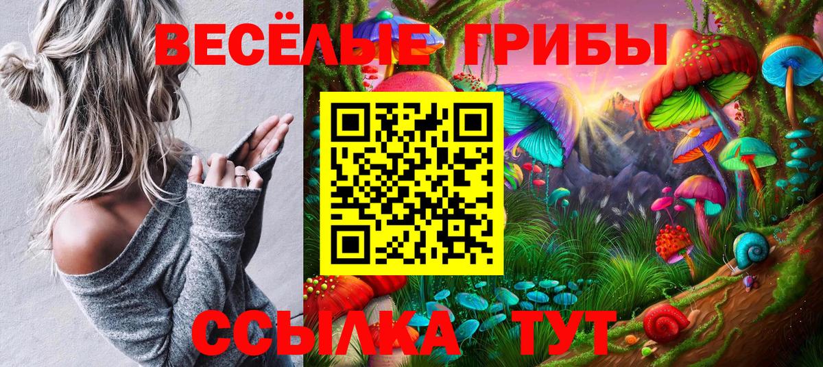 Псилоцибиновые грибы прущие грибы  Вход с VPN  Лесозаводск 